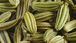 Macro shot of fennel seeds, Wellness concept, body care, digestion. Stock Footage
