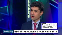 ESG Flows: ETFs Play Catch-Up With Mutual Funds News Clip