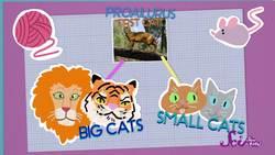 3 Cool Facts About Cats! Instructional Video