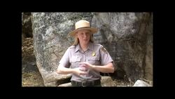 Access Pass Instructional Video