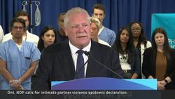 Ontario under pressure to declare ‘intimate partner violence epidemic’ News Clip