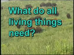 Abiotic Ecosystem Components Instructional Video