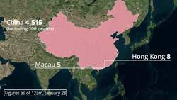 Coronavirus: The confirmed cases around the world News Clip