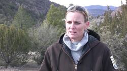 Endangered gray wolves on the rise in southwest US Instructional Video