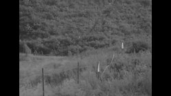 Demilitarized zone sign separates North and South Korea News Clip