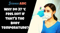 If Our Body Temperature is 37° C, Why Do We Feel Hot When it’s 37° C Outside? Instructional Video