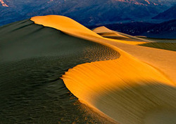 Venn Diagrams: Global Habitats Instructional Video