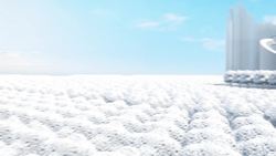 Indonesia relocating capital from sinking Jakarta to Borneo jungle Instructional Video