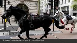 Runaway horses cause rush-hour chaos in London News Clip