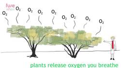 BIOLOGY - Environment - Adapting and living together Instructional Video