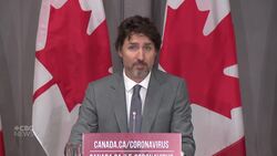 Trudeau outlines his plan to reduce systemic racism in Canada News Clip