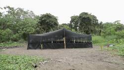 Panama sea turtle conservation ongoing Instructional Video