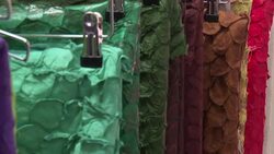 CLEAN : Future Fabrics expo aims to revolutionise fashion with renewables News Clip