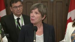 Federal government is matching donations to Red Cross for wildfire relief News Clip