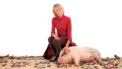 How Big Do Potbellied Pigs Get? Instructional Video