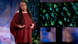 TED: 4 ways to have healthy conversations about race | Afrika Afeni Mills Instructional Video