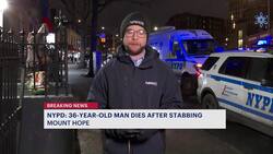 NYPD: 36-year-old man dead after Christmas Eve stabbing in Mount Hope News Clip