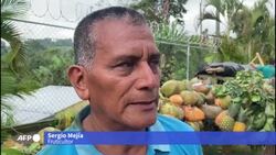 VOICED : Salvadoreños celebran cosecha de frutas y rinden tributo a la Cruz News Clip