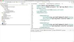 Learn Java from Scratch - A Beginner's Guide - Step 10 - Exploring Spring Boot DevTools Instructional Video