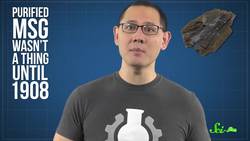 The Truth About MSG and Your Health Instructional Video