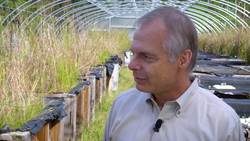 Investigating the impact of natural and human-made nanomaterials on living things - Science Nation Instructional Video