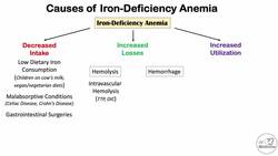 Iron-Deficiency Anemia (Overview) | Causes, Pathophysiology, Signs & Symptoms, Diagnosis, Treatment Instructional Video