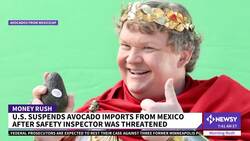 U.S. Suspends Mexican Avocado Imports News Clip