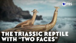The Triassic Reptile With "Two Faces" Instructional Video