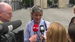 Liberals meet ahead of EU summit Instructional Video