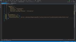 .NET Core Microservices - Startup File and Migrations Instructional Video