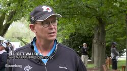 Triple Crown Winner American Pharoah's Foals Fetch $20M News Clip