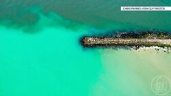 Beachgoers astounded by turquoise water off LI’s South Shore Instructional Video