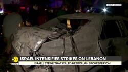 Israel-Hezbollah War: 11 Killed, 48 Wounded in Israeli Strikes in Lebanon's South News Clip