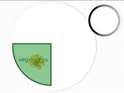 Your Diet: My Plate Instructional Video