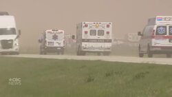 Multi-vehicle pileup in Illinois dust storm News Clip
