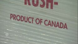 U.S.-China trade war great for Canada's lobster industry News Clip