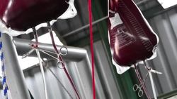 CLEAN : Costa Rican scientists carry out tests with equine serum that could contain Covid-19 News Clip