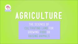 Resources: Welcome to the Neighborhood Instructional Video