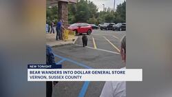 Bear euthanized after entering Vernon Dollar General, injuring woman News Clip