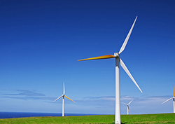 El debate sobre la energía eólica Instructional Video