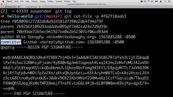 Complete Git Guide: Understand and Master Git and GitHub - Exploring the Contents of the Cloned Repository Instructional Video
