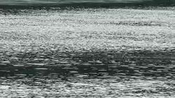 Slow Motion of fresh water river waves and ripples Stock Footage