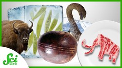 5 Mysteries Science Created... and Then Solved Instructional Video