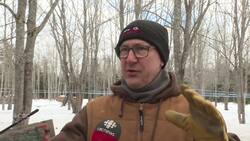 Maple syrup producers get ready for sweetest season News Clip
