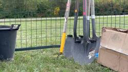 Here's why Waterloo is planting 10K trees News Clip