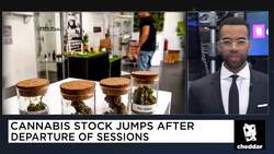 Need 2 Know: California Shooting Victims, Election Recounts News Clip