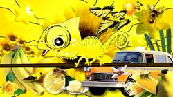 The Colors Song Instructional Video