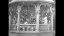 Children Feeding Pigeons at the Park Stock Footage
