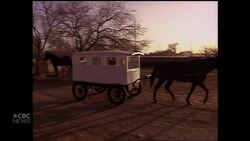 Hana Gartner’s most memorable Fifth Estate moments News Clip