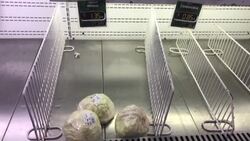 CLEAN : Panama protests continue as government and organisations seek new agreement News Clip